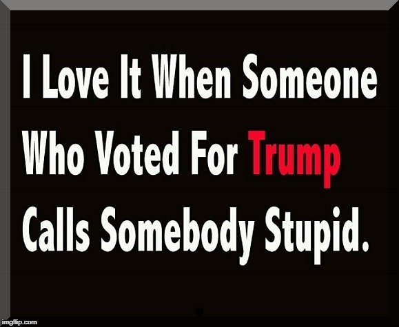 . | . | image tagged in trump,trump voter,stupid | made w/ Imgflip meme maker