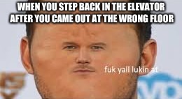 fuk yall lukin at | WHEN YOU STEP BACK IN THE ELEVATOR AFTER YOU CAME OUT AT THE WRONG FLOOR | image tagged in idk | made w/ Imgflip meme maker
