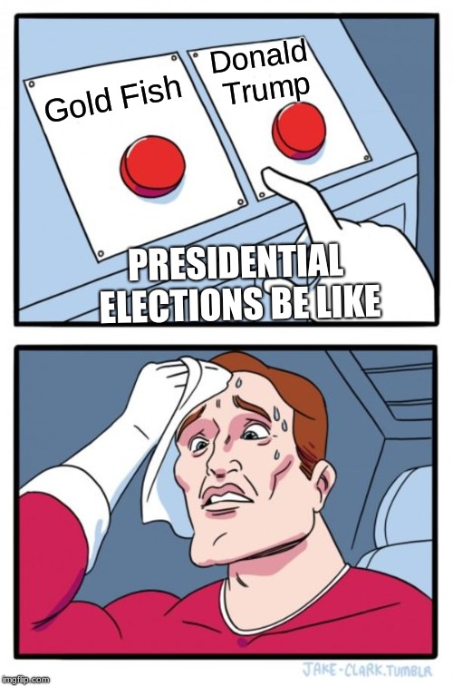 Two Buttons Meme | Donald Trump; Gold Fish; PRESIDENTIAL ELECTIONS BE LIKE | image tagged in memes,two buttons | made w/ Imgflip meme maker