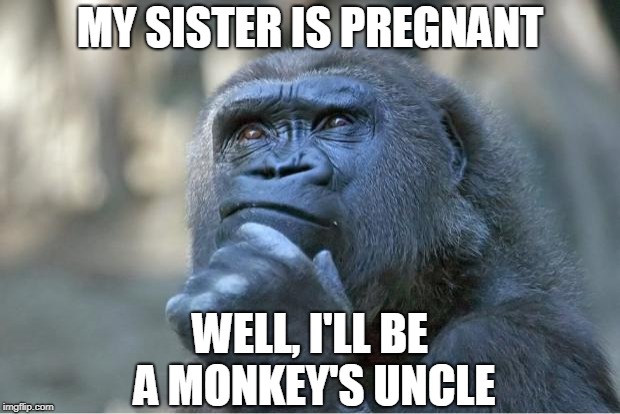 Just monkeyin' around | MY SISTER IS PREGNANT; WELL, I'LL BE A MONKEY'S UNCLE | image tagged in the thinking gorilla,memes,bad pun monkey,pregnant | made w/ Imgflip meme maker