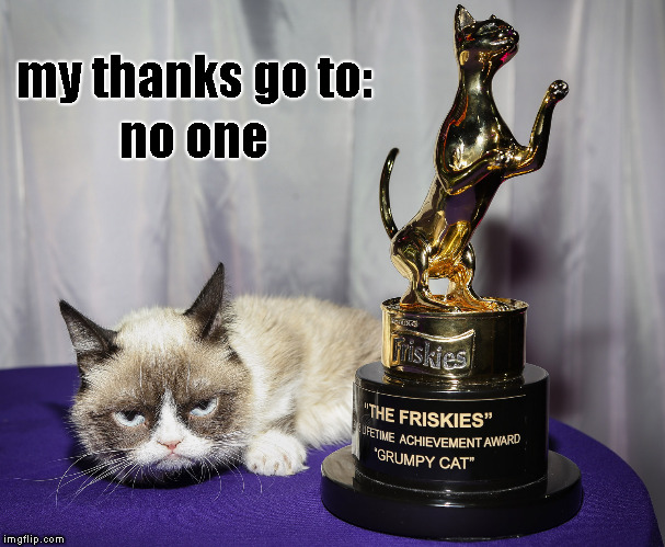 Lifetime Achievement Award | no one; my thanks go to: | image tagged in memes,grumpy cat,friskies award | made w/ Imgflip meme maker