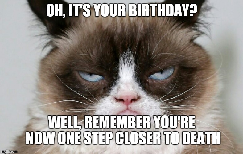 *Sigh* Yeah Grumpy Cat... I love birthdays too  | OH, IT'S YOUR BIRTHDAY? WELL, REMEMBER YOU'RE NOW ONE STEP CLOSER TO DEATH | image tagged in grumpy cat,memes,birthday | made w/ Imgflip meme maker