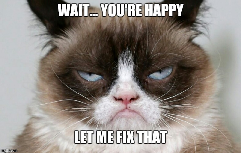 I adore Grumpy Cat | WAIT... YOU'RE HAPPY; LET ME FIX THAT | image tagged in grumpy cat,memes | made w/ Imgflip meme maker