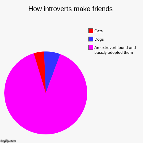 How introverts make friends | An extrovert found and basicly adopted them, Dogs, Cats | image tagged in funny,pie charts | made w/ Imgflip chart maker