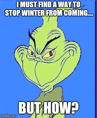 Good Grinch | I MUST FIND A WAY TO STOP WINTER FROM COMING.... BUT HOW? | image tagged in good grinch | made w/ Imgflip meme maker