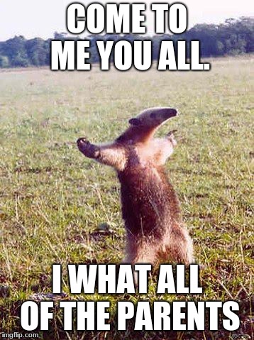 come at me anteater | COME TO ME YOU ALL. I WHAT ALL OF THE PARENTS | image tagged in come at me anteater | made w/ Imgflip meme maker