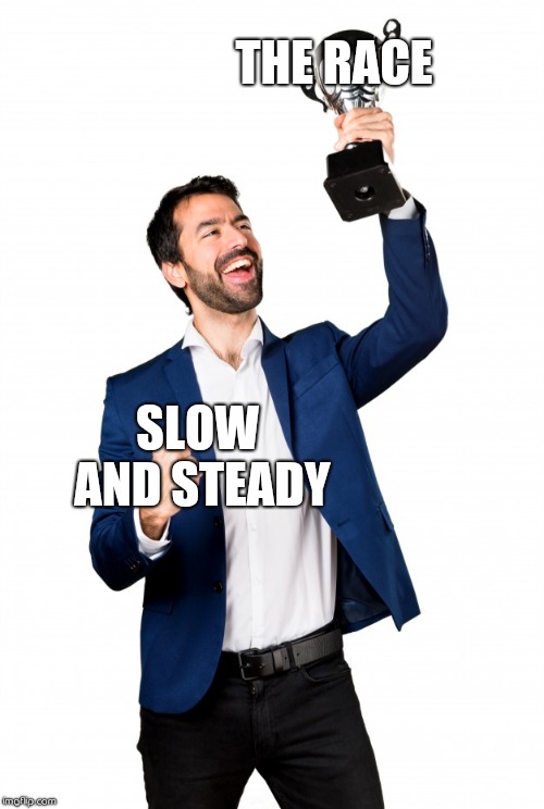 THE RACE; SLOW AND STEADY | made w/ Imgflip meme maker