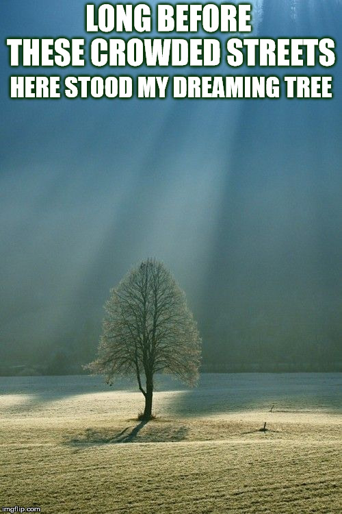 DMB The Dreaming Tree | LONG BEFORE THESE CROWDED STREETS; HERE STOOD MY DREAMING TREE | image tagged in dmb,dave matthews band,tree,the dreaming tree,dreaming,streets | made w/ Imgflip meme maker