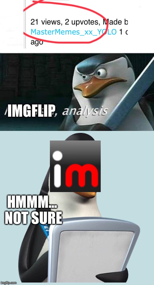 I’m gonna need that analysis soon, Imgflip! | IMGFLIP; HMMM... NOT SURE | image tagged in penguin kowalski,kowalski analysis,imgflip,memes,upvotes | made w/ Imgflip meme maker
