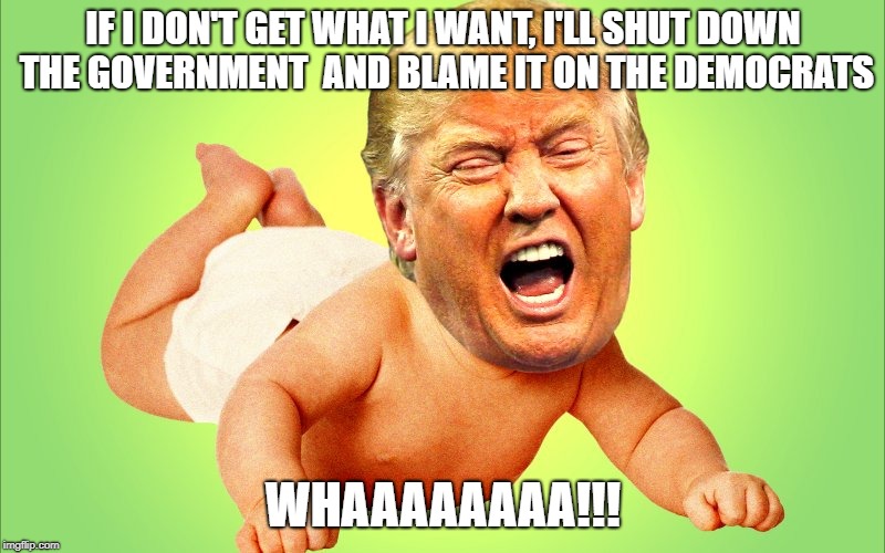 IF I DON'T GET WHAT I WANT, I'LL SHUT DOWN THE GOVERNMENT  AND BLAME IT ON THE DEMOCRATS; WHAAAAAAAA!!! | image tagged in spoiled brat,baby trump | made w/ Imgflip meme maker