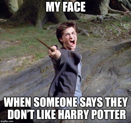 Harry potter | MY FACE; WHEN SOMEONE SAYS THEY DON’T LIKE HARRY POTTER | image tagged in harry potter | made w/ Imgflip meme maker