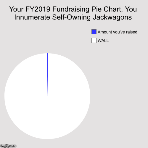 Your FY2019 Fundraising Pie Chart, You Innumerate Self-Owning Jackwagons | WALL, Amount you've raised | image tagged in funny,pie charts | made w/ Imgflip chart maker