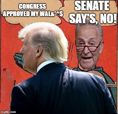 Doesn't matter what one House says if the other doesn't agree. | SENATE SAY'S, NO! CONGRESS APPROVED MY WAL&*^$ | image tagged in batman slapping robin,trump wall,politics,political meme | made w/ Imgflip meme maker