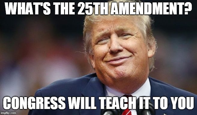 Trump smug immature | WHAT'S THE 25TH AMENDMENT? CONGRESS WILL TEACH IT TO YOU | image tagged in trump smug immature | made w/ Imgflip meme maker