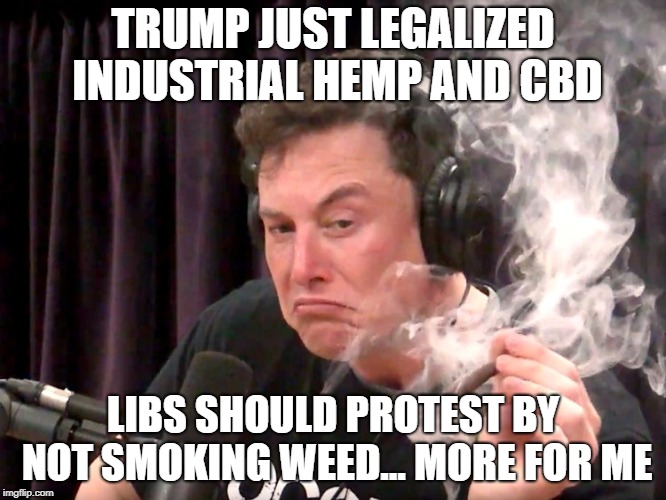 Elon Musk Weed | TRUMP JUST LEGALIZED INDUSTRIAL HEMP AND CBD; LIBS SHOULD PROTEST BY NOT SMOKING WEED... MORE FOR ME | image tagged in elon musk weed | made w/ Imgflip meme maker