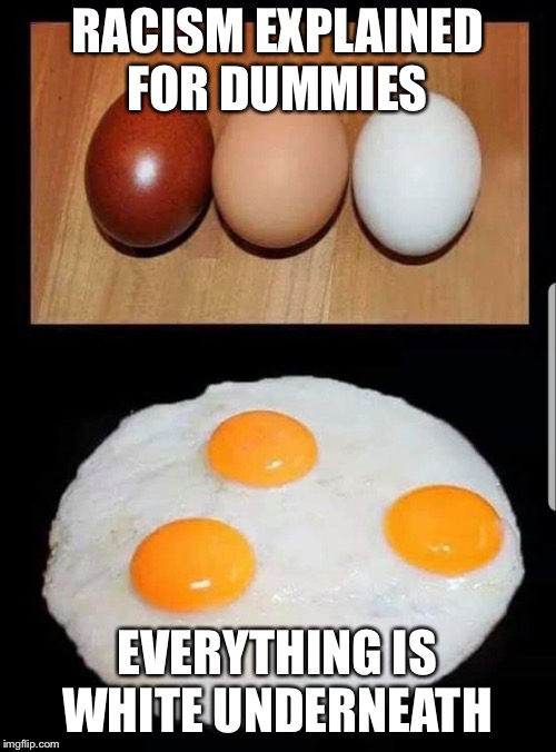 Racism | RACISM EXPLAINED FOR DUMMIES; EVERYTHING IS WHITE UNDERNEATH | image tagged in racism | made w/ Imgflip meme maker