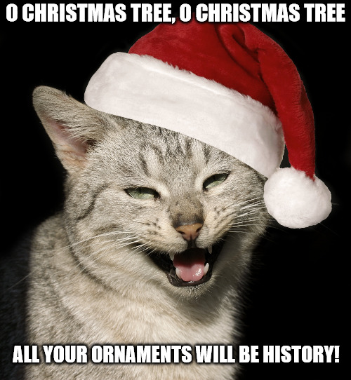 Your Christmas Tree Isn't Safe | O CHRISTMAS TREE, O CHRISTMAS TREE; ALL YOUR ORNAMENTS WILL BE HISTORY! | image tagged in christmas,cats,ornaments,holiday | made w/ Imgflip meme maker