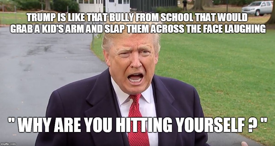 TRUMP IS LIKE THAT BULLY FROM SCHOOL THAT WOULD GRAB A KID'S ARM AND SLAP THEM ACROSS THE FACE LAUGHING; " WHY ARE YOU HITTING YOURSELF ? " | image tagged in trump,bully | made w/ Imgflip meme maker