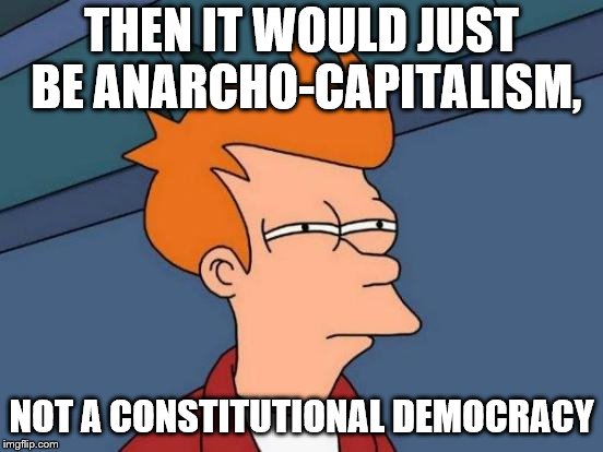 Futurama Fry Meme | THEN IT WOULD JUST BE ANARCHO-CAPITALISM, NOT A CONSTITUTIONAL DEMOCRACY | image tagged in memes,futurama fry | made w/ Imgflip meme maker