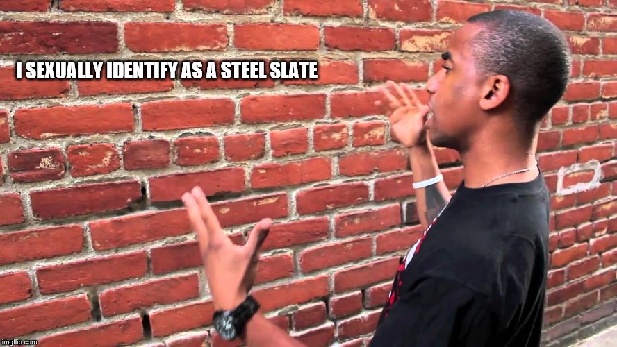 Talking to wall | I SEXUALLY IDENTIFY AS A STEEL SLATE | image tagged in talking to wall | made w/ Imgflip meme maker