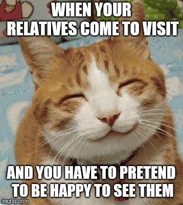 Happy Cat Smiling | WHEN YOUR RELATIVES COME TO VISIT AND YOU HAVE TO PRETEND TO BE HAPPY TO SEE THEM | image tagged in happy cat smiling | made w/ Imgflip meme maker