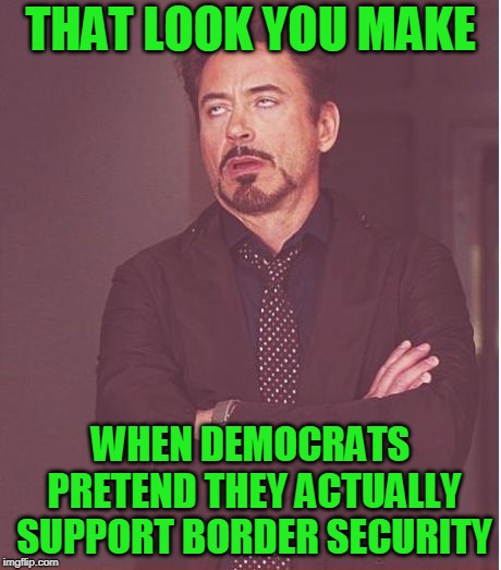 As Long as it's Ineffective | THAT LOOK YOU MAKE; WHEN DEMOCRATS PRETEND THEY ACTUALLY SUPPORT BORDER SECURITY | image tagged in memes,face you make robert downey jr,the wall,democrats | made w/ Imgflip meme maker