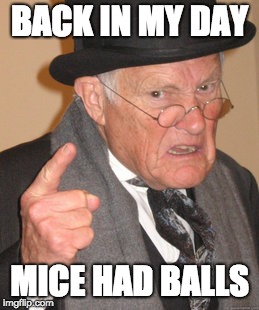 There were no laser mice in those days. | BACK IN MY DAY; MICE HAD BALLS | image tagged in memes,back in my day | made w/ Imgflip meme maker