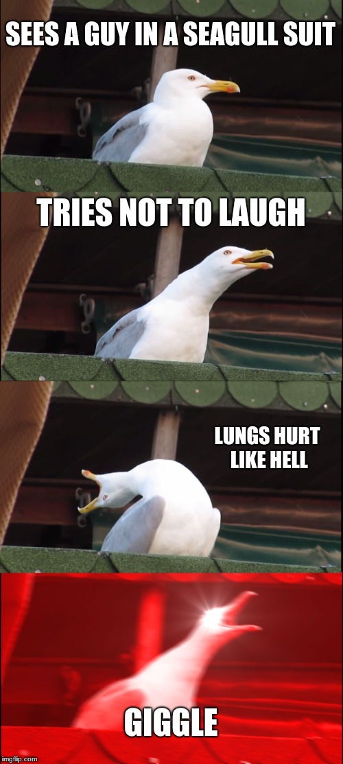 Inhaling Seagull | SEES A GUY IN A SEAGULL SUIT; TRIES NOT TO LAUGH; LUNGS HURT LIKE HELL; GIGGLE | image tagged in memes,inhaling seagull | made w/ Imgflip meme maker