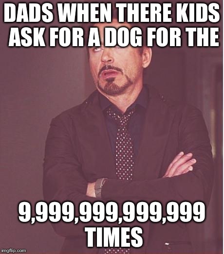 Face You Make Robert Downey Jr | DADS WHEN THERE KIDS ASK FOR A DOG FOR THE; 9,999,999,999,999 TIMES | image tagged in memes,face you make robert downey jr | made w/ Imgflip meme maker