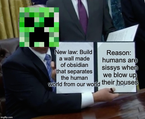 Trump Bill Signing | New law:
Build a wall made of obsidian that separates the human world from our world; Reason: humans are sissys when we blow up their houses | image tagged in memes,trump bill signing | made w/ Imgflip meme maker