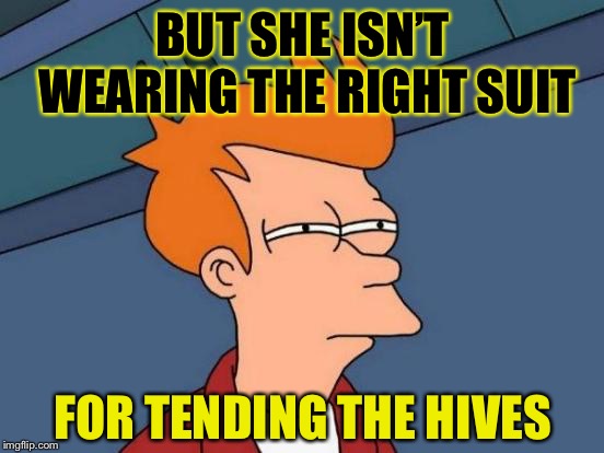 Futurama Fry Meme | BUT SHE ISN’T WEARING THE RIGHT SUIT FOR TENDING THE HIVES | image tagged in memes,futurama fry | made w/ Imgflip meme maker