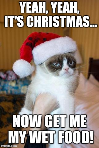 Grumpy Cat Christmas Meme | YEAH, YEAH, IT'S CHRISTMAS... NOW GET ME MY WET FOOD! | image tagged in memes,grumpy cat christmas,grumpy cat | made w/ Imgflip meme maker