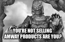 YOU’RE NOT SELLING AMWAY PRODUCTS ARE YOU? | made w/ Imgflip meme maker