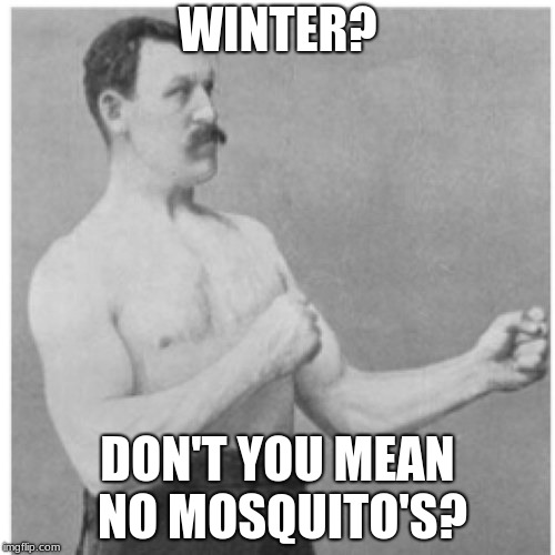 Overly Manly Man | WINTER? DON'T YOU MEAN NO MOSQUITO'S? | image tagged in memes,overly manly man | made w/ Imgflip meme maker