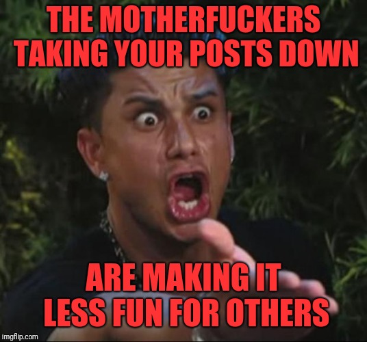 DJ Pauly D Meme | THE MOTHERF**KERS TAKING YOUR POSTS DOWN ARE MAKING IT LESS FUN FOR OTHERS | image tagged in memes,dj pauly d | made w/ Imgflip meme maker
