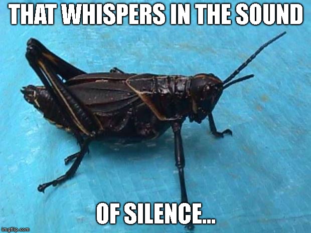 Cricket  | THAT WHISPERS IN THE SOUND OF SILENCE... | image tagged in cricket | made w/ Imgflip meme maker