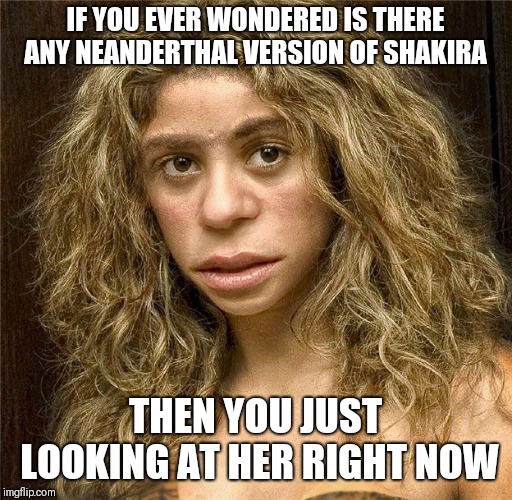 IF YOU EVER WONDERED IS THERE ANY NEANDERTHAL VERSION OF SHAKIRA; THEN YOU JUST LOOKING AT HER RIGHT NOW | image tagged in funny memes | made w/ Imgflip meme maker