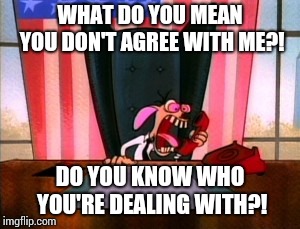 WHAT DO YOU MEAN YOU DON'T AGREE WITH ME?! DO YOU KNOW WHO YOU'RE DEALING WITH?! | image tagged in ren and stimpy | made w/ Imgflip meme maker