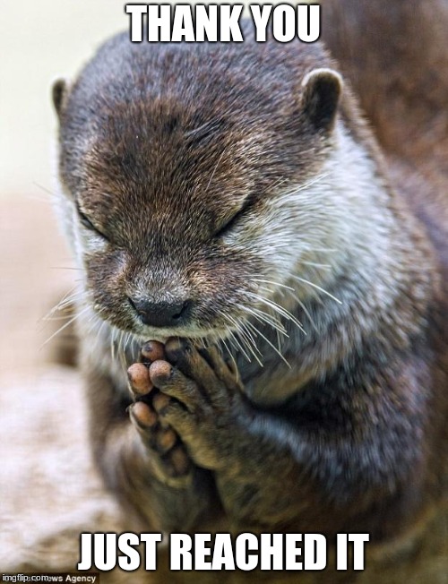 Thank you Lord Otter | THANK YOU JUST REACHED IT | image tagged in thank you lord otter | made w/ Imgflip meme maker