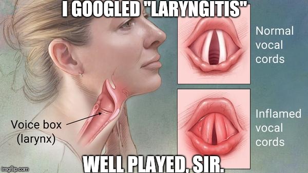 He knew EXACTLY what he was doing | I GOOGLED "LARYNGITIS"; WELL PLAYED, SIR. | image tagged in i googled laryngitis | made w/ Imgflip meme maker