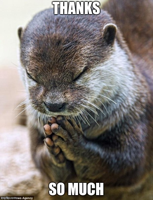 Thank you Lord Otter | THANKS SO MUCH | image tagged in thank you lord otter | made w/ Imgflip meme maker