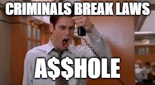 Jim Carey | CRIMINALS BREAK LAWS A$$HOLE | image tagged in jim carey | made w/ Imgflip meme maker