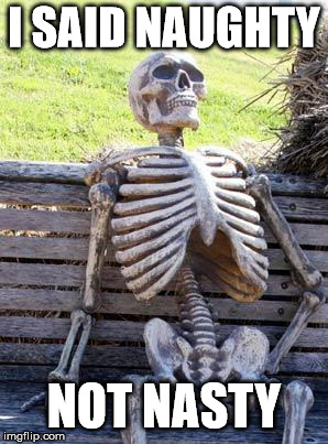 Waiting Skeleton Meme | I SAID NAUGHTY NOT NASTY | image tagged in memes,waiting skeleton | made w/ Imgflip meme maker