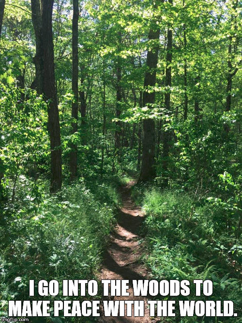 Into the Woods | I GO INTO THE WOODS TO MAKE PEACE WITH THE WORLD. | image tagged in peace | made w/ Imgflip meme maker
