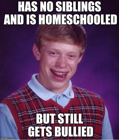 Still gets bullied | HAS NO SIBLINGS AND IS HOMESCHOOLED; BUT STILL GETS BULLIED | image tagged in memes,bad luck brian,mom,bully,homeschool,funny | made w/ Imgflip meme maker