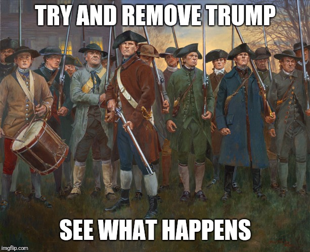 revolutionary militia | TRY AND REMOVE TRUMP; SEE WHAT HAPPENS | image tagged in revolutionary militia | made w/ Imgflip meme maker