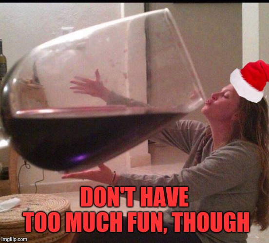 Big wine santa | DON'T HAVE TOO MUCH FUN, THOUGH | image tagged in big wine santa | made w/ Imgflip meme maker