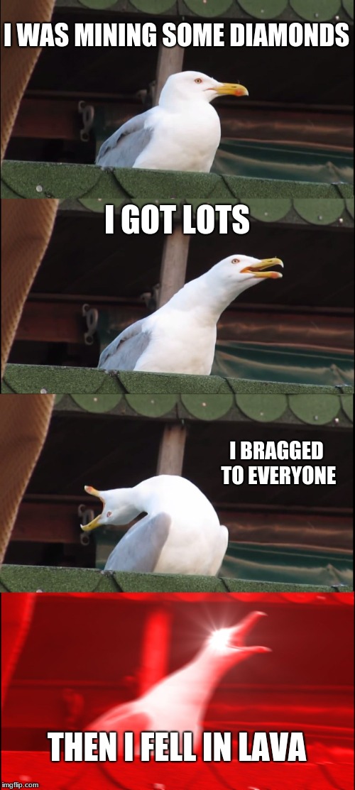 Inhaling Seagull | I WAS MINING SOME DIAMONDS; I GOT LOTS; I BRAGGED TO EVERYONE; THEN I FELL IN LAVA | image tagged in memes,inhaling seagull | made w/ Imgflip meme maker