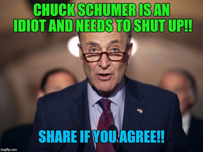 Idiot Chuck Schumer! | CHUCK SCHUMER IS AN IDIOT AND NEEDS TO SHUT UP!! SHARE IF YOU AGREE!! | image tagged in idiot chuck schumer | made w/ Imgflip meme maker