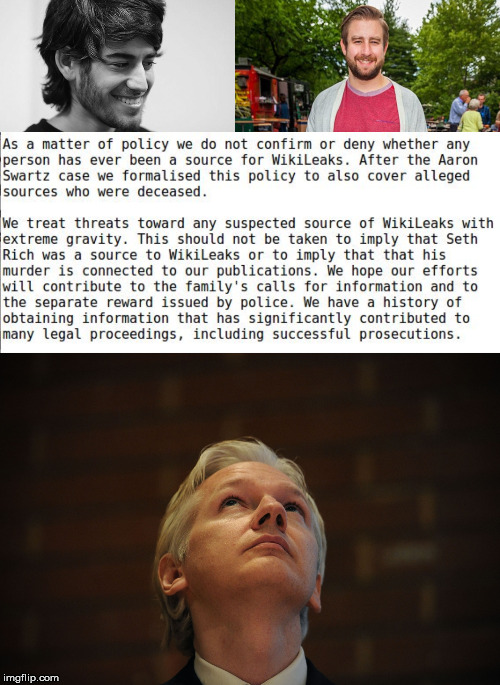 Make You Wonder | image tagged in aaron swartz,seth rich,julian assange,wikileaks,policy,journalism | made w/ Imgflip meme maker